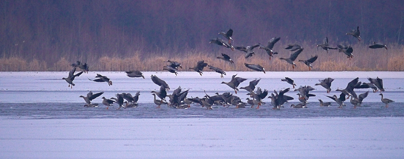 Anflug auf die letzte Wasserstelle