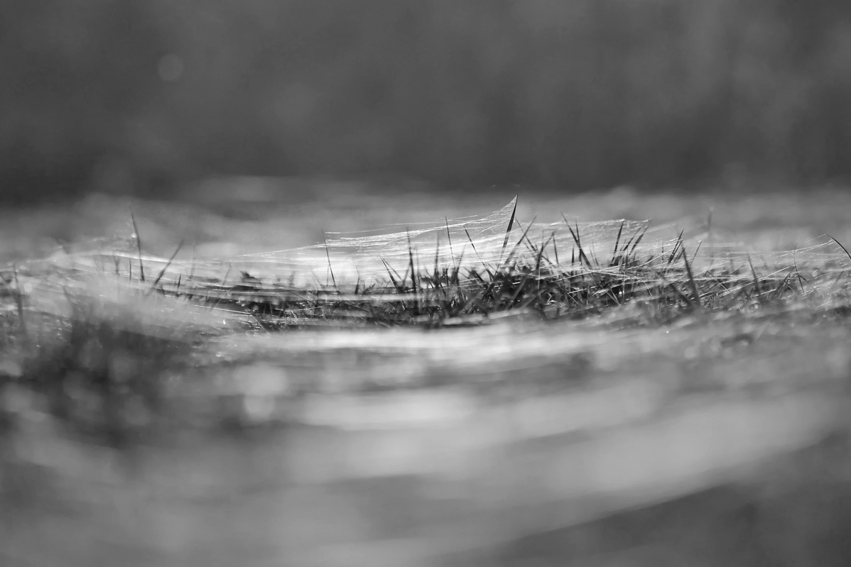 The spooky influence of Web Teil II