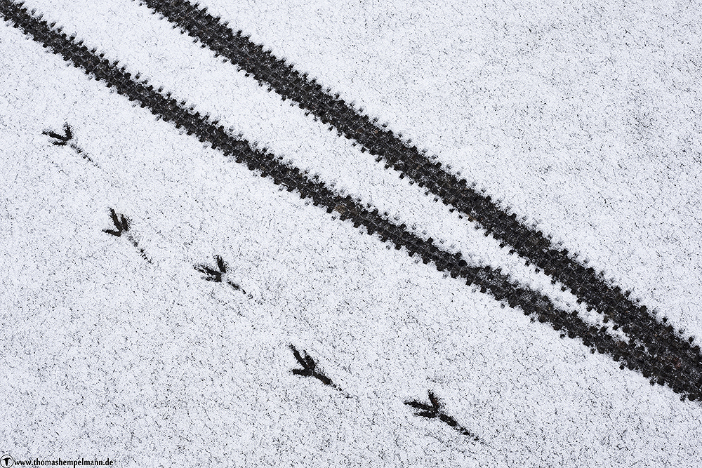 Spuren im Schnee