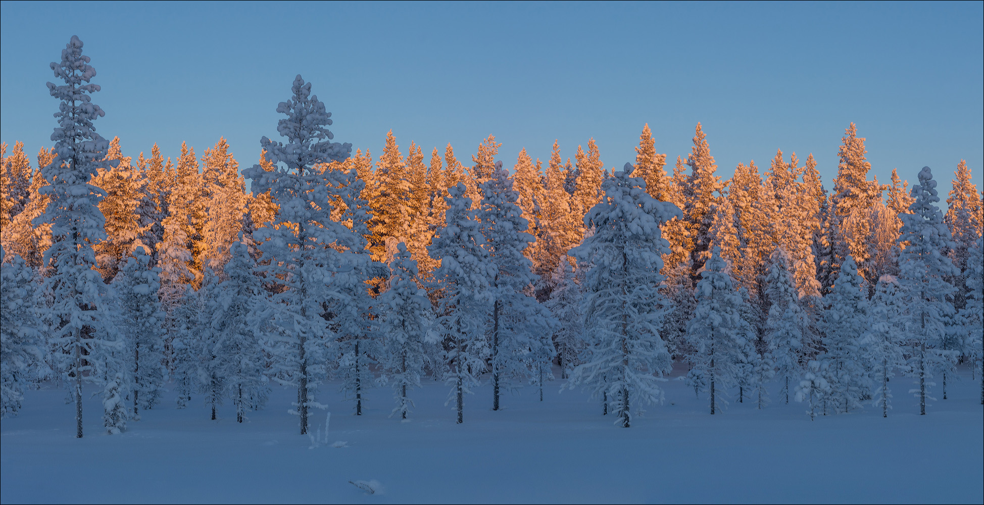 °°° Fire and Ice °°°