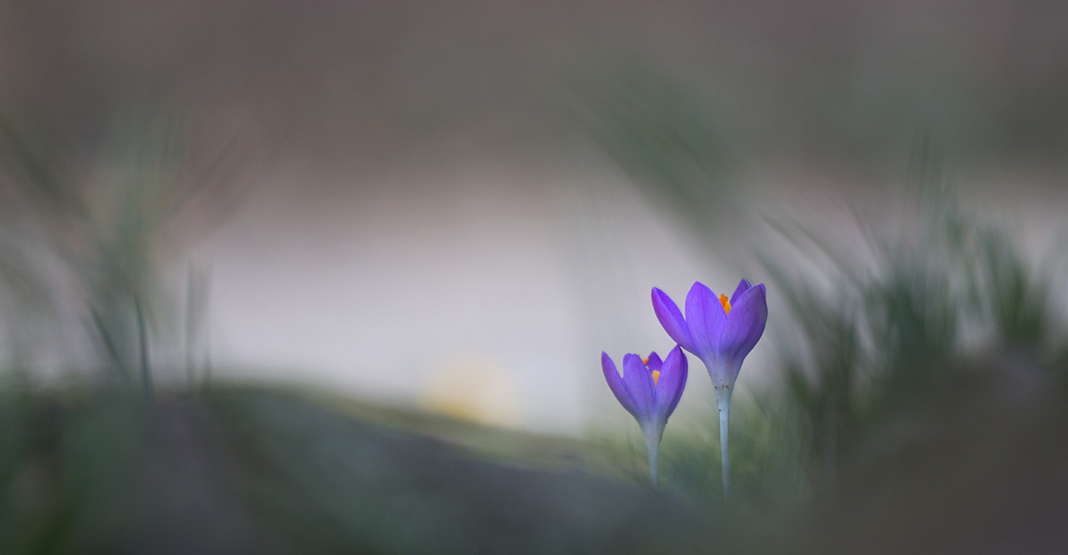 Frühling in Sicht