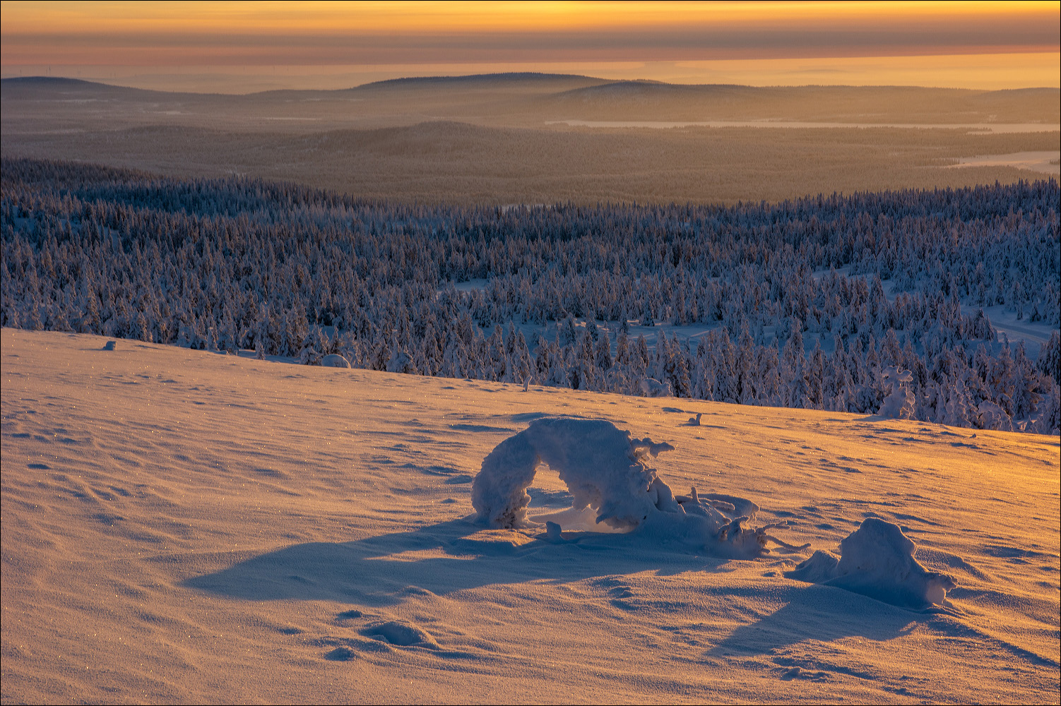 °°° Akkanålke °°°