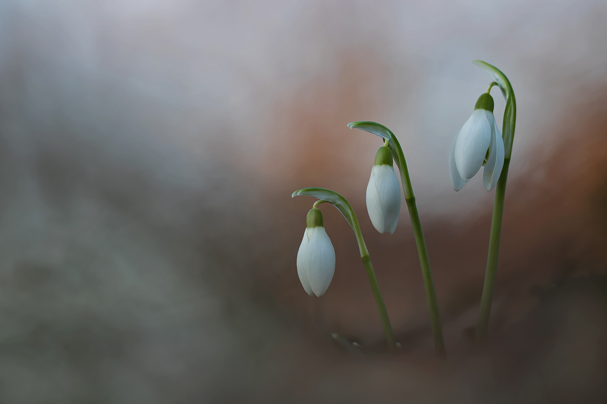 Frühling in Sicht