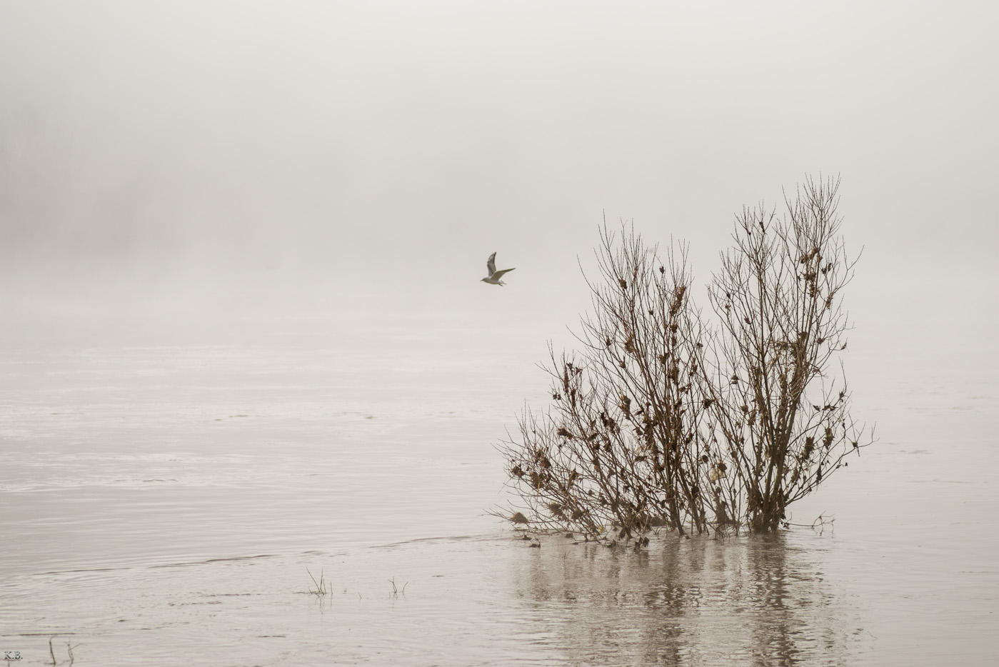 Hochwasser