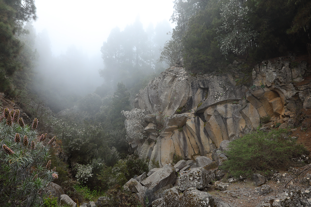 Piedra la Rosa