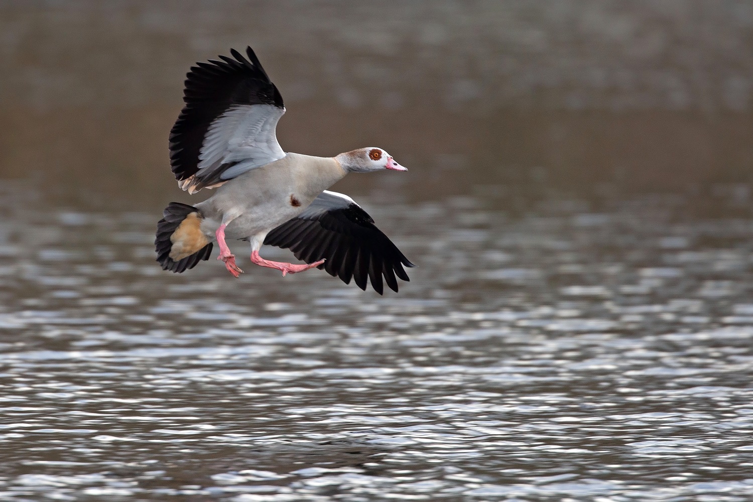 Landeanflug