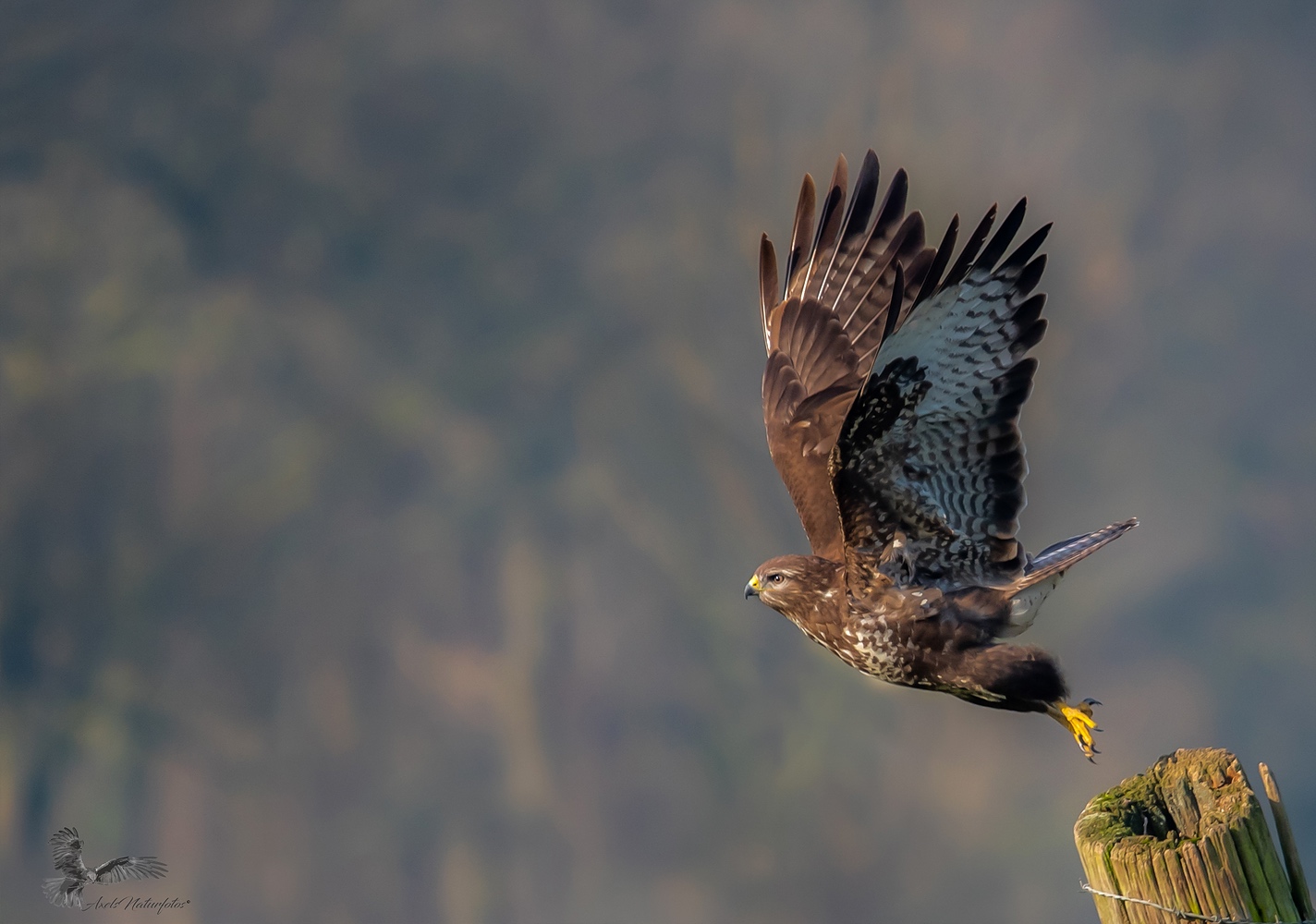 Abflugspose...