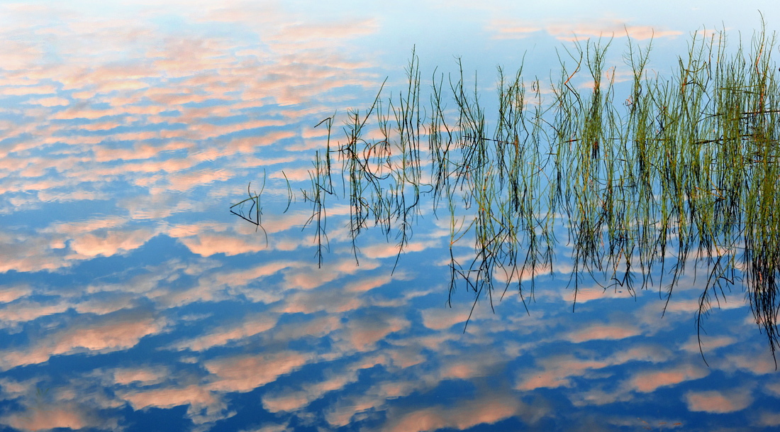 Schäfchenwolkenspiegelung ...,