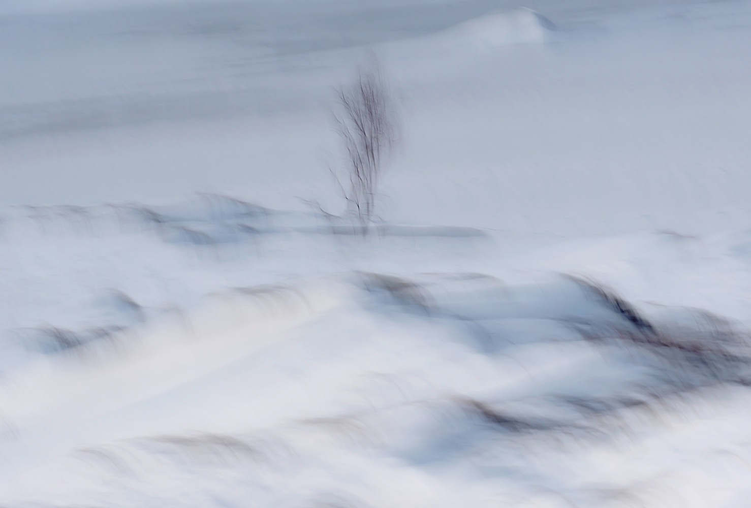 In den Schneewehen....