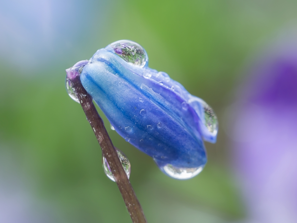 Zu viel Regen...