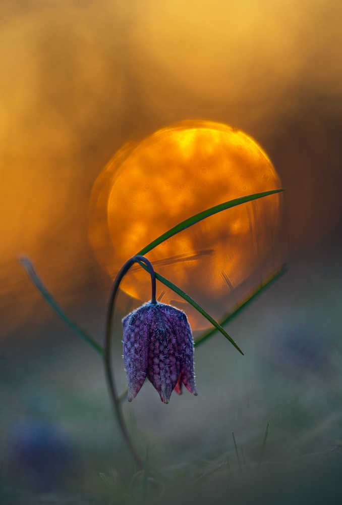 Sonnenaufgang.....