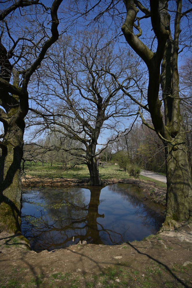 Wasserspiegelung