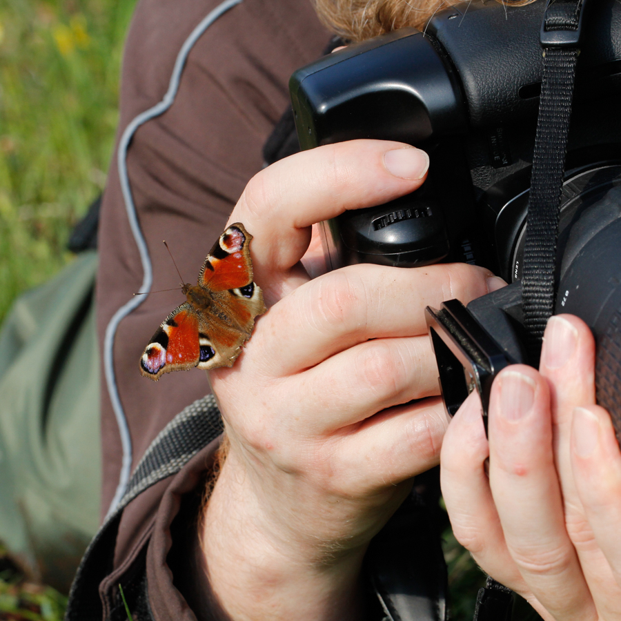 Wer stört mich da beim Fotografieren?