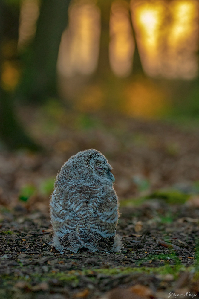 Der heutige Tag