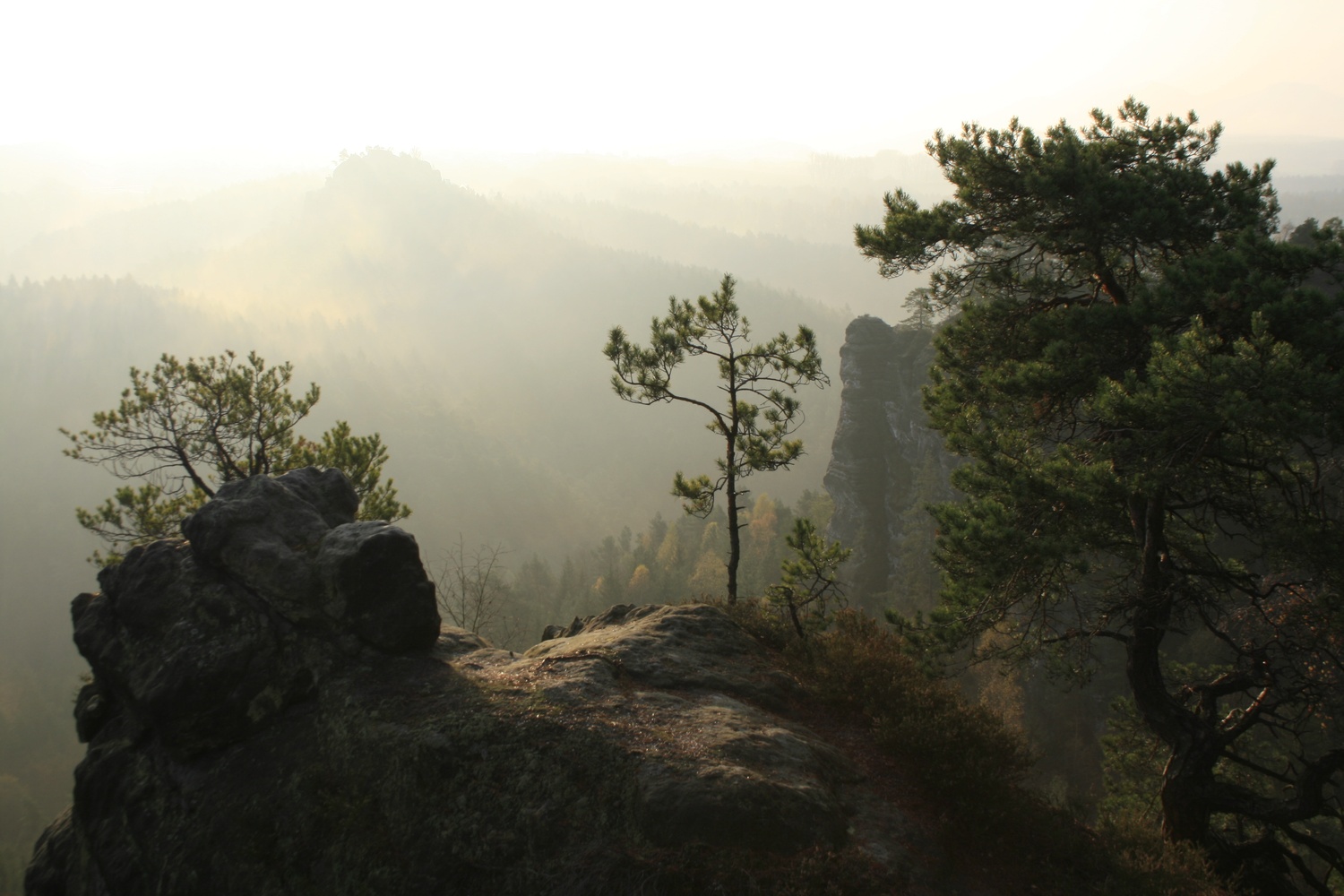 Morgendunst in den Feldwänden