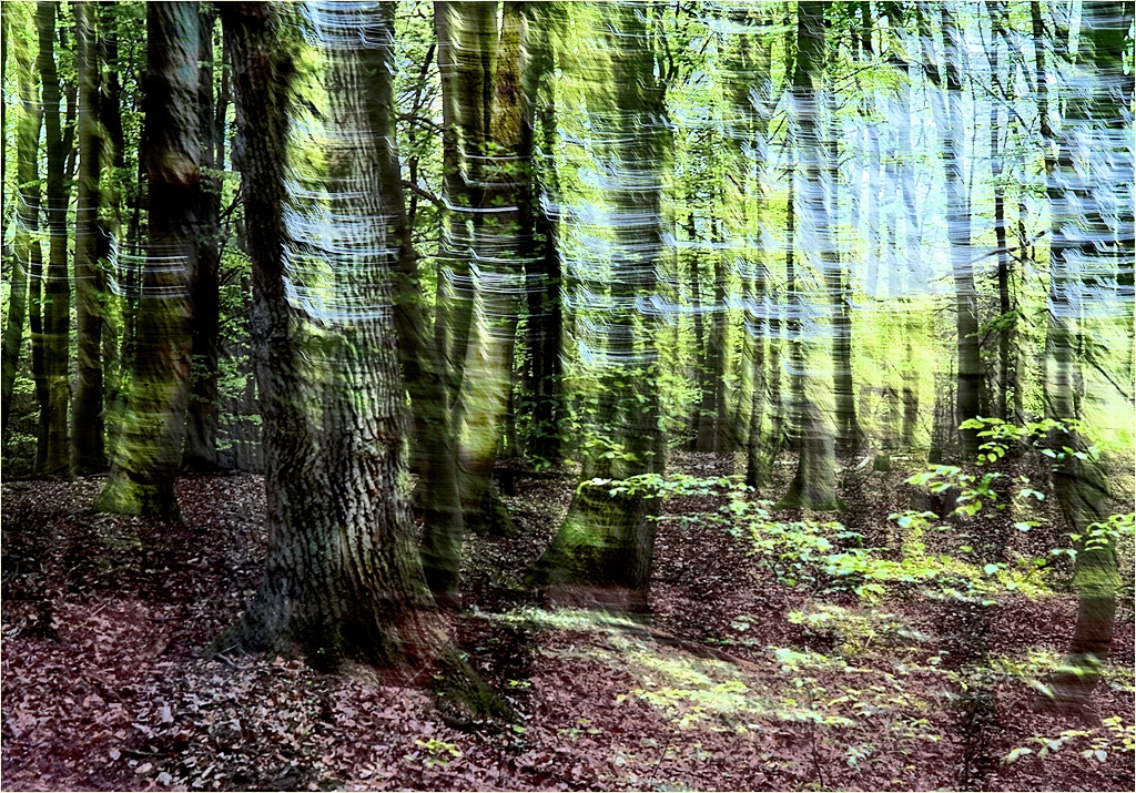 Frühling lässt sein blaues Band