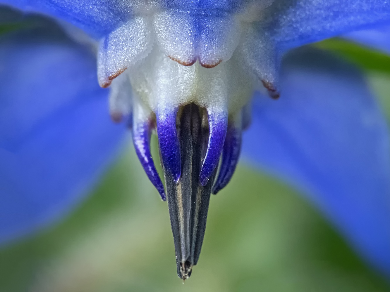 Blaues Ufo, oder was?