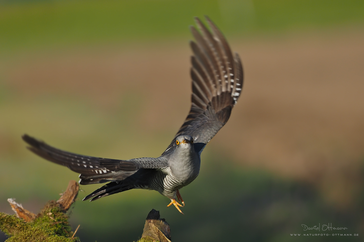 Abflug