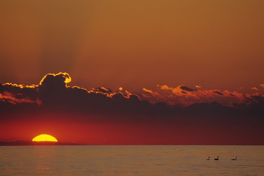 Sonnenuntergang auf Rügen