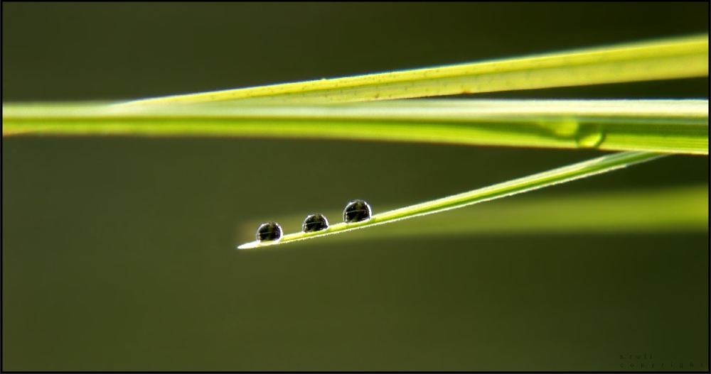 Wassertropfen