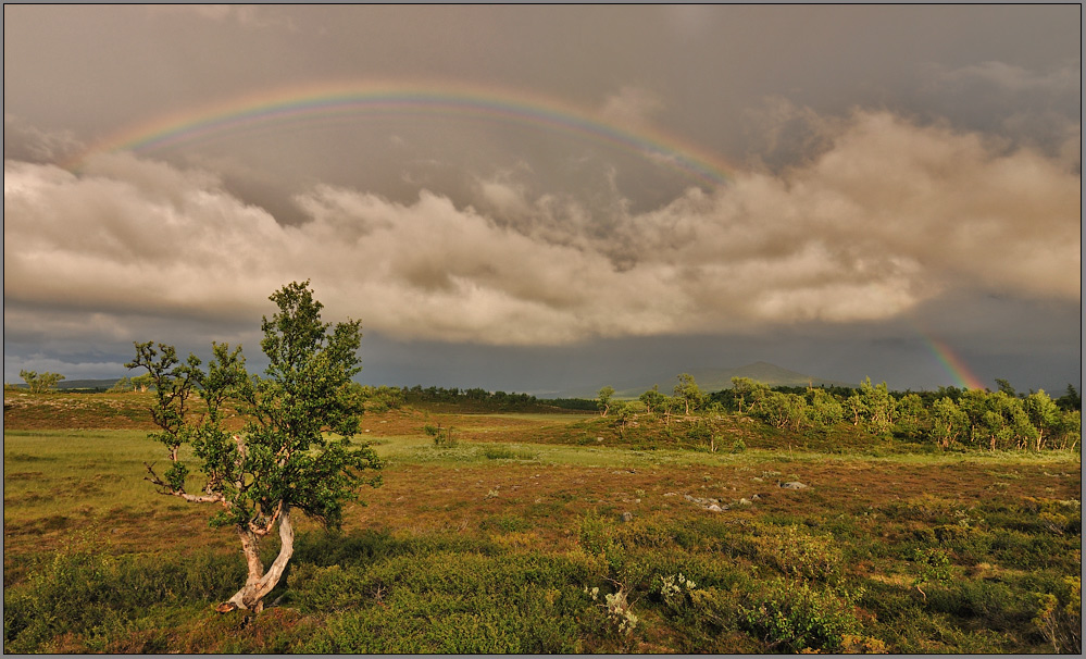 Unterm Regenbogen