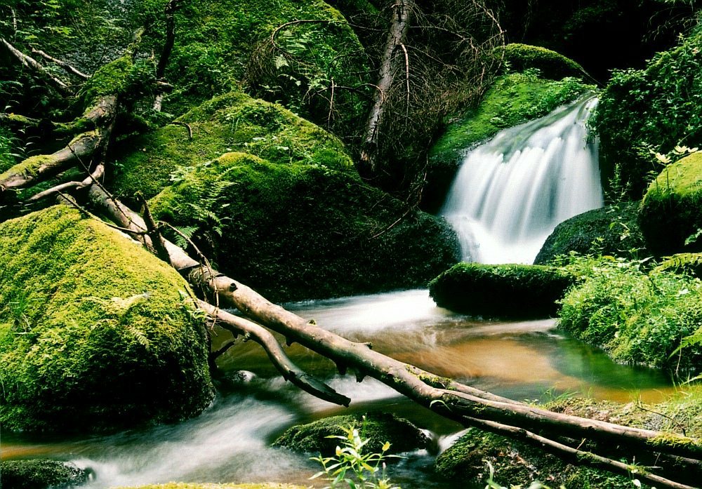 Lohnbachfall