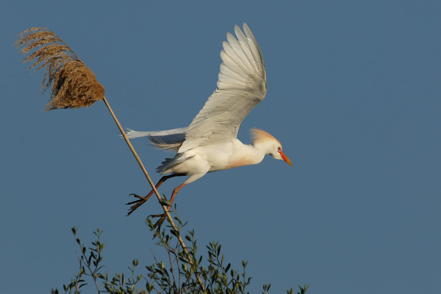 Abflug