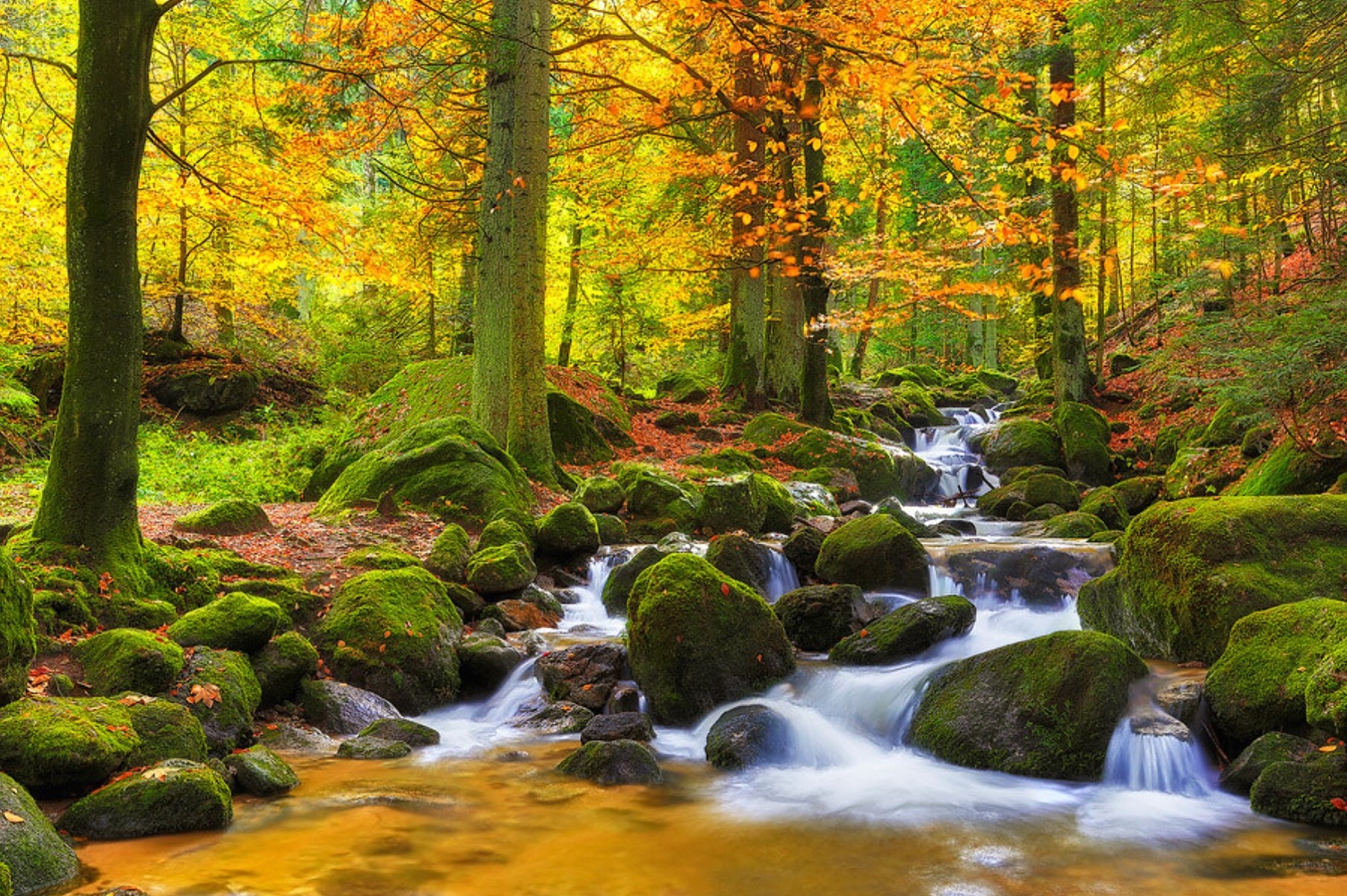 Goldener Oktober