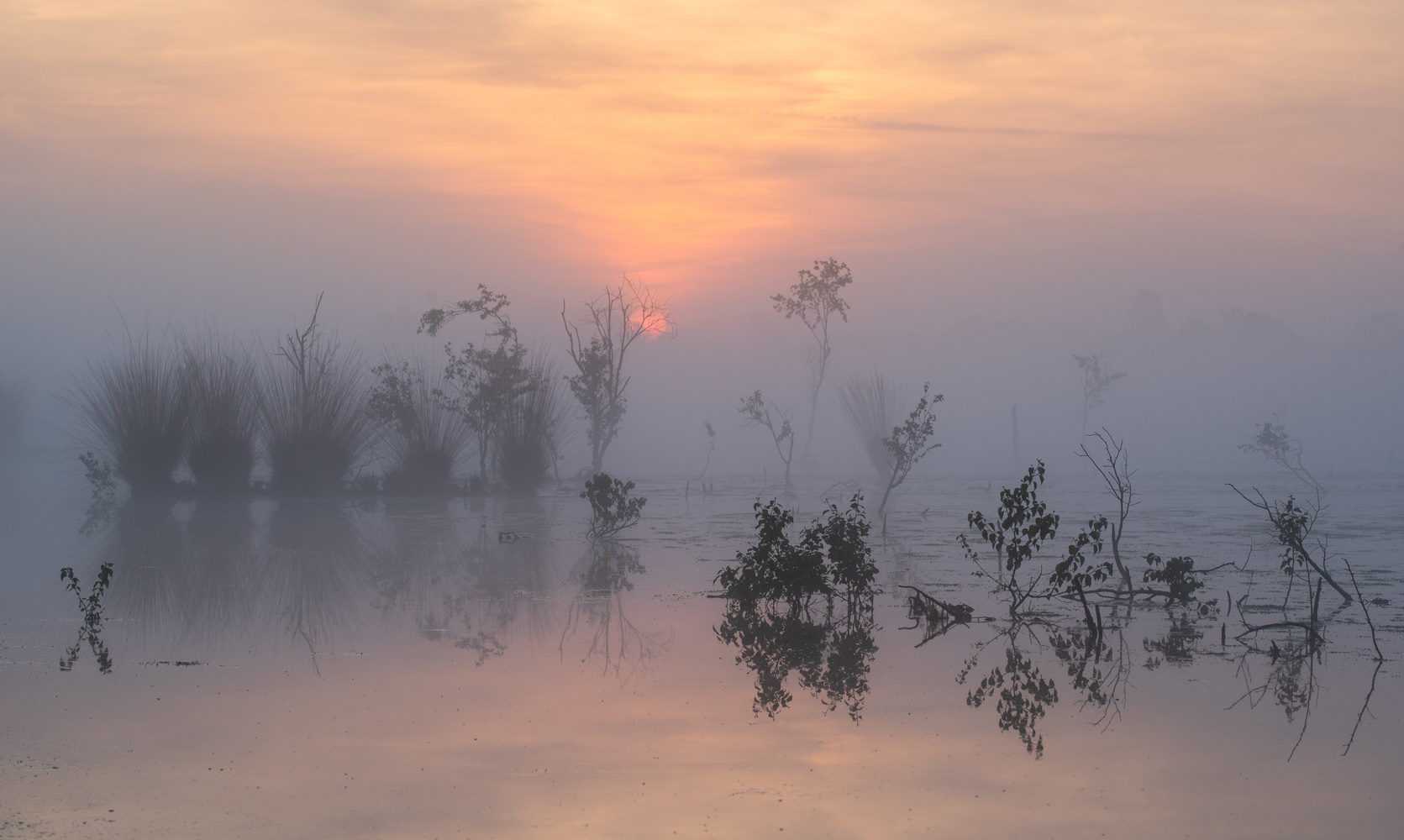 __Tagesanbruch im Moor___