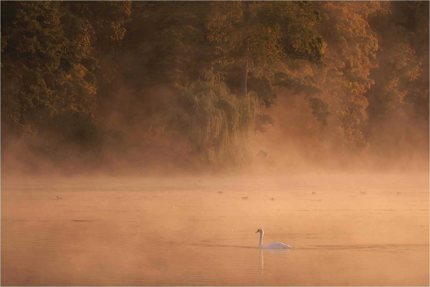 Morgens an der Ruhr