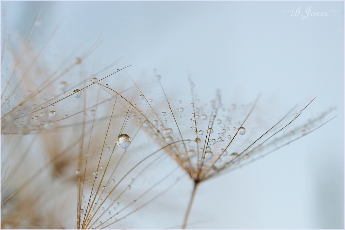 -Perlenspiel-