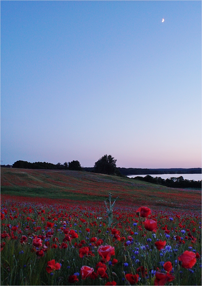 Mond & Mohn