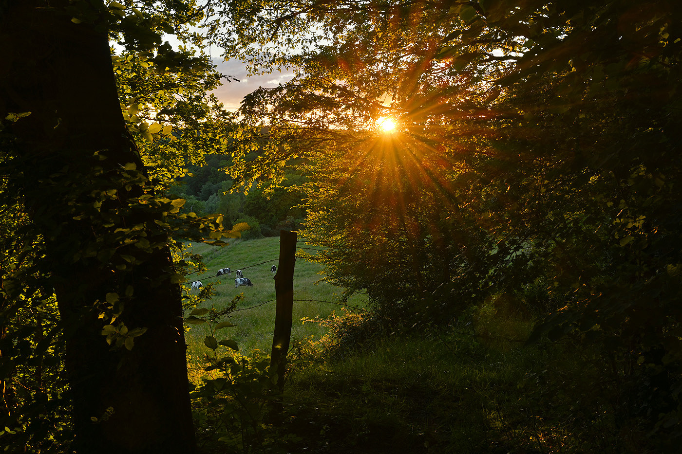 Sonnenuntergang im Wurmtal