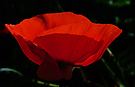 Lichtdurchflutet