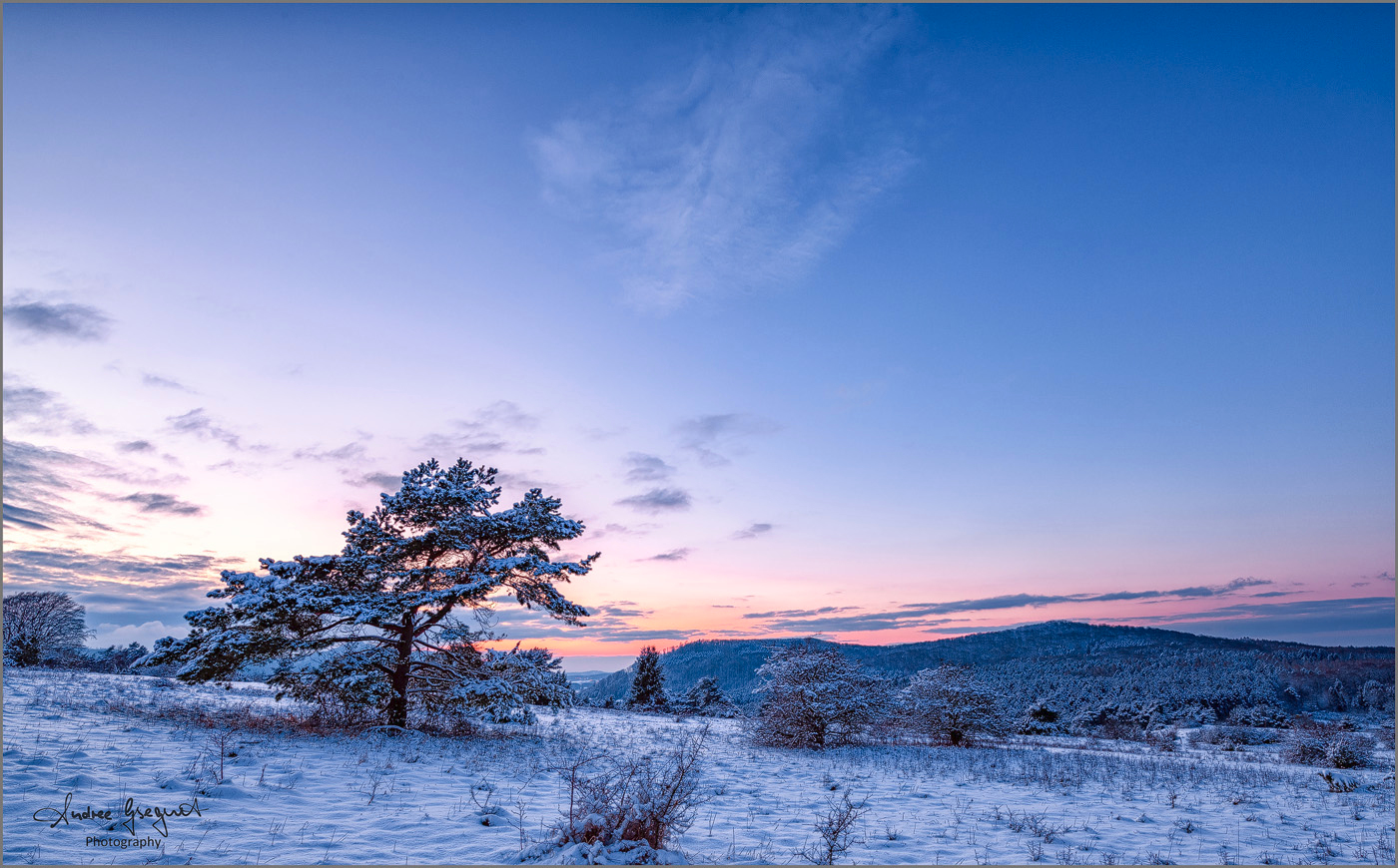 Blaue Stunde am Dörnberg