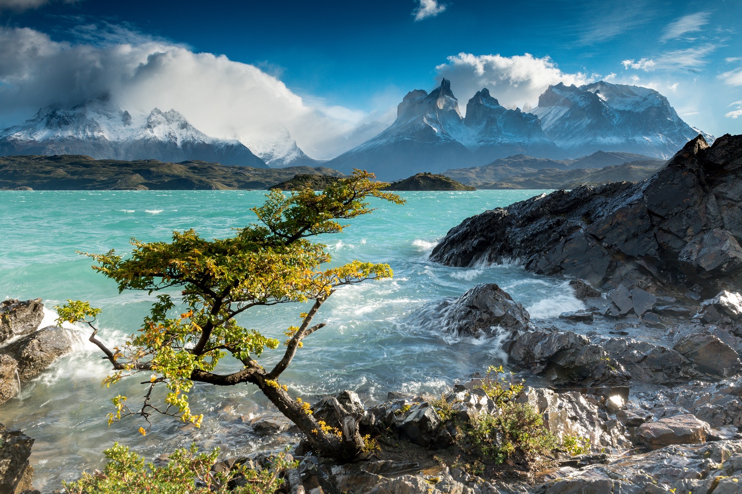 Wildes Patagonien