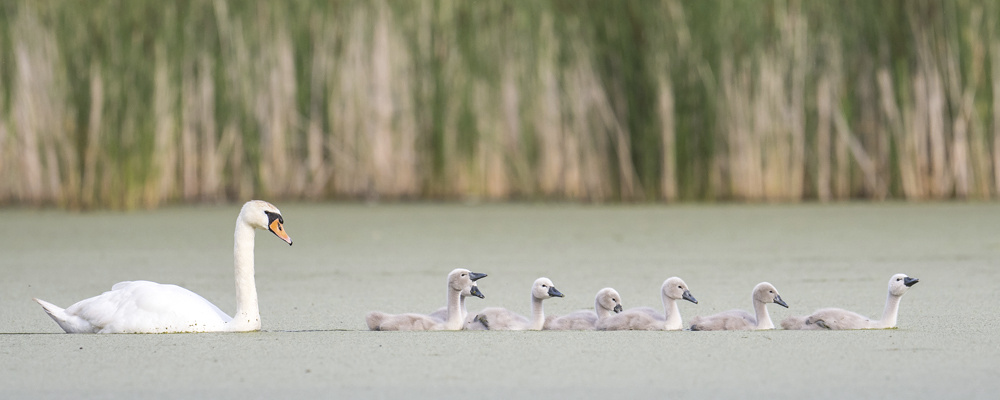 Familienausflug