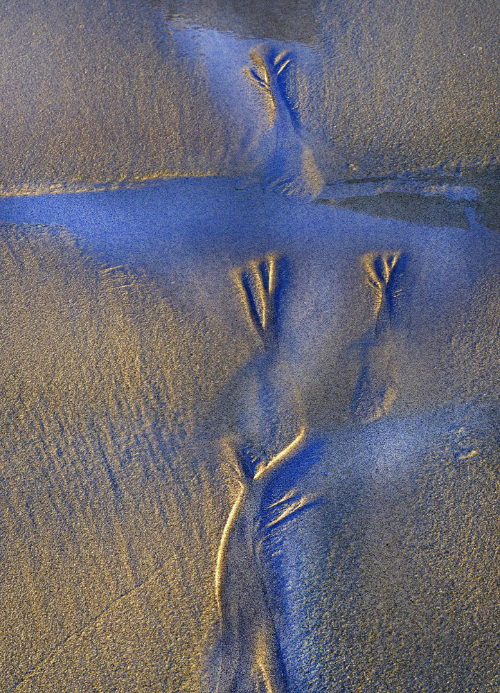 Wasser Licht und Sand