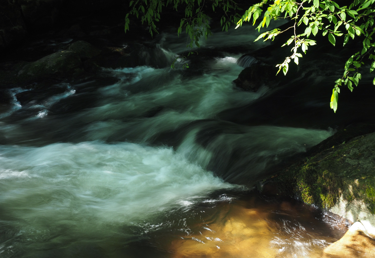 Am schattigen Bach