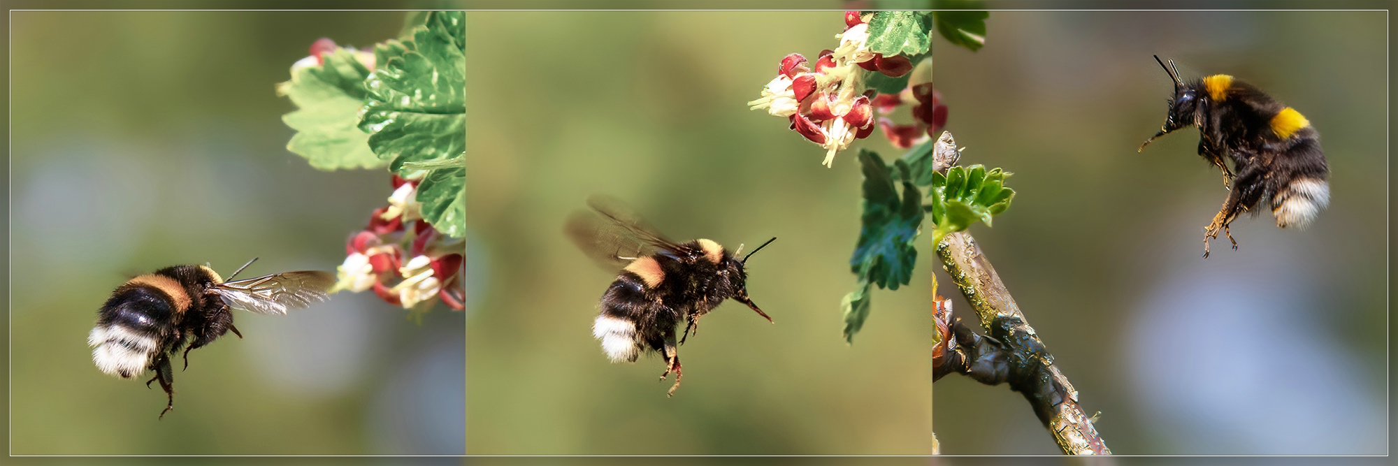 ... der Landeanflug ...