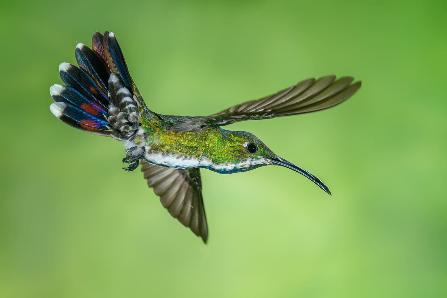 balletttänzer der luefte