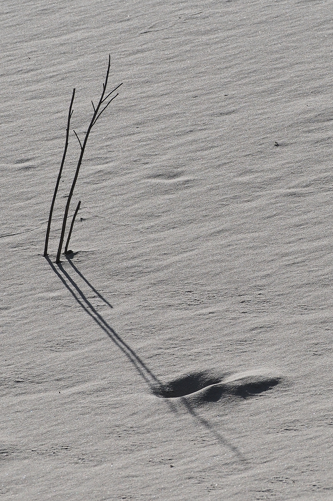 Wenn die Sonne tief steht, werfen auch Zwerge lange Schatten