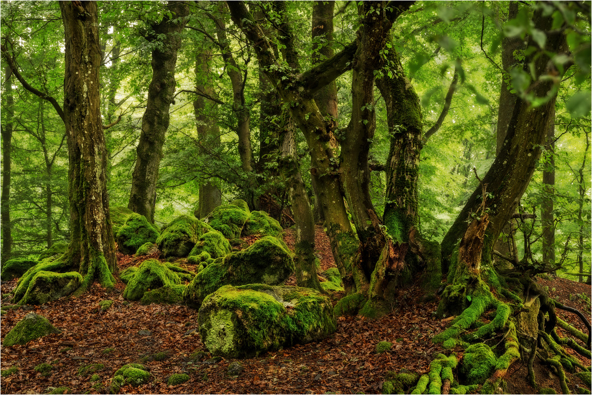 Auf dem Steinmehlskopf