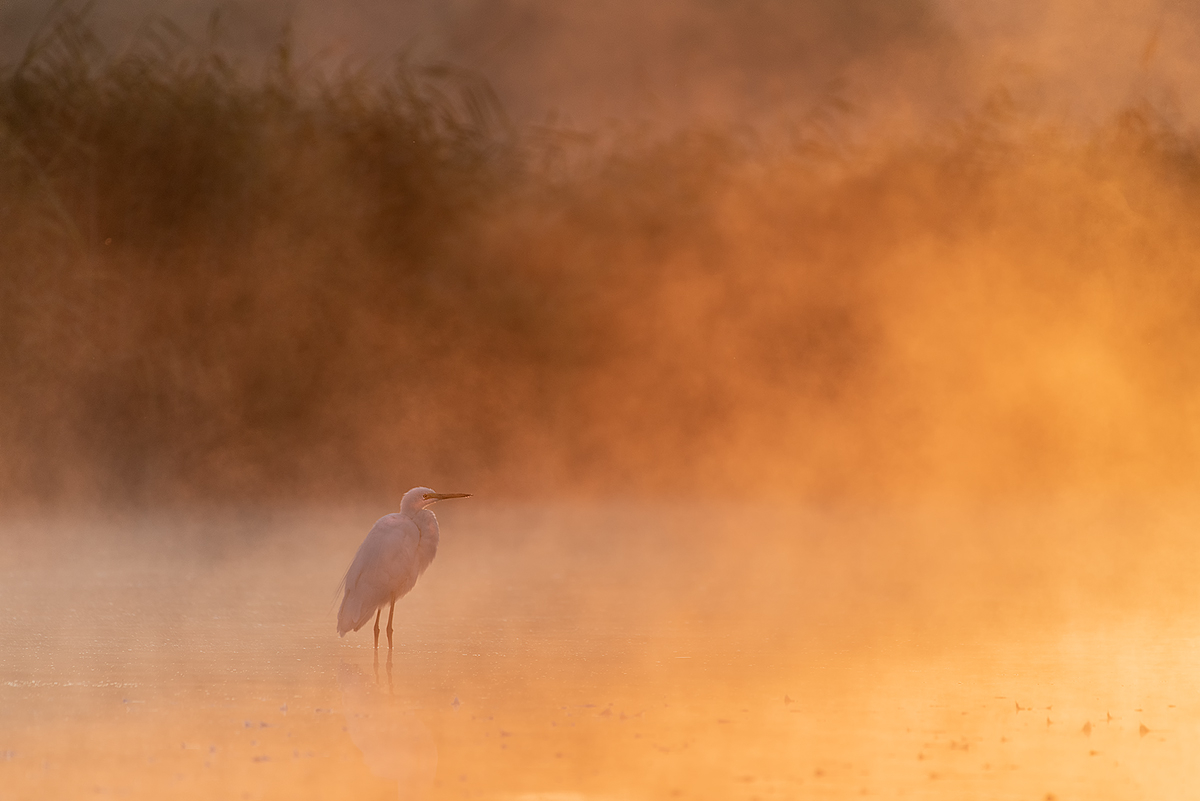 die stillen Momente der Naturfotografie