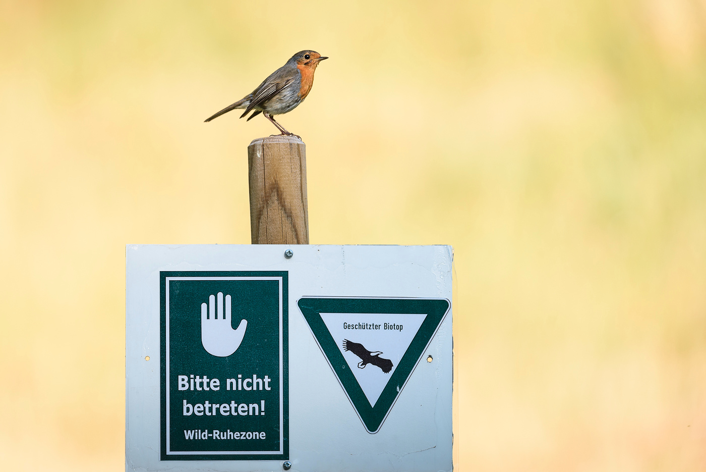 Der Aufpasser