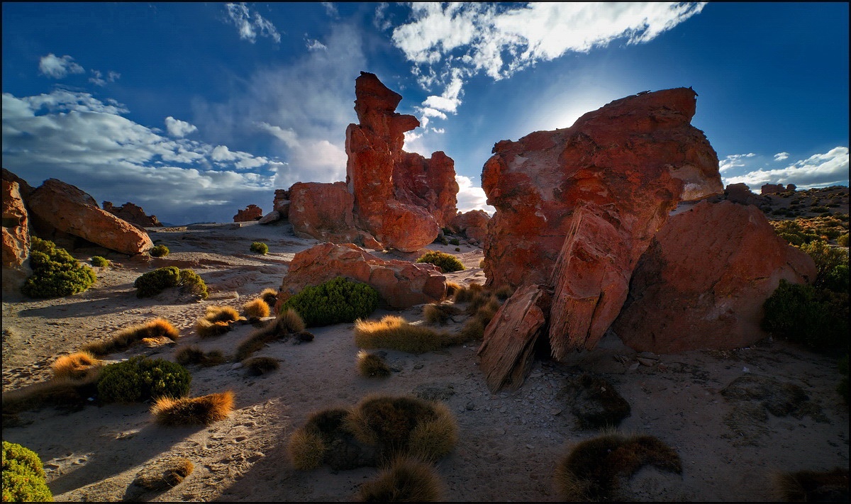 Bosque de Piedras