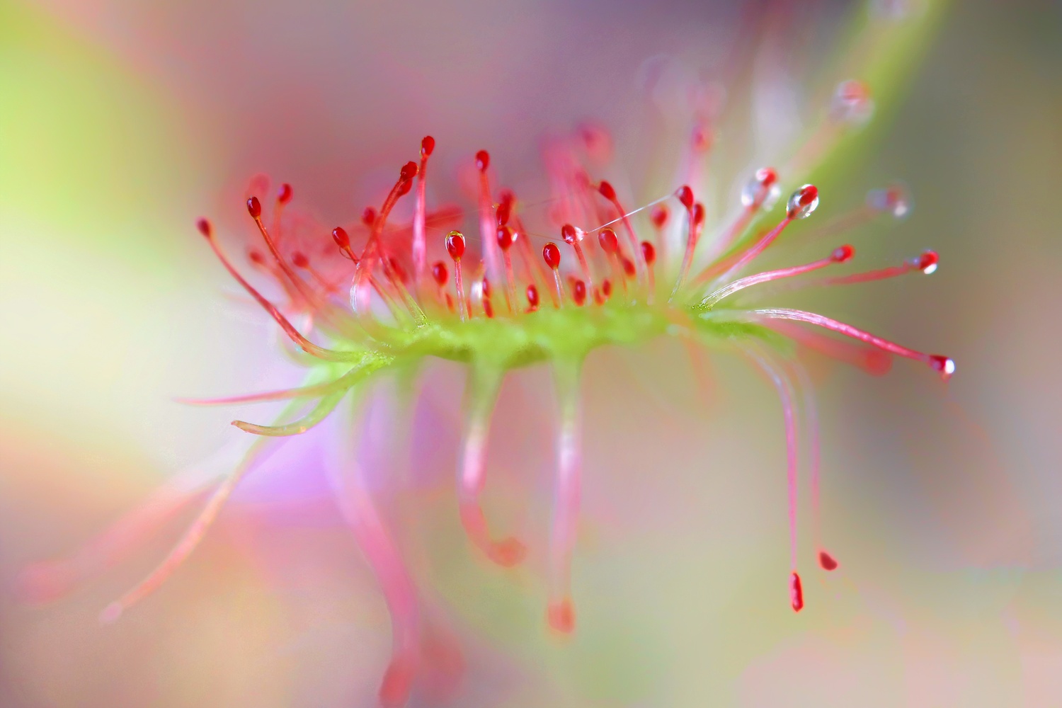 A Spoonfull of Sparks