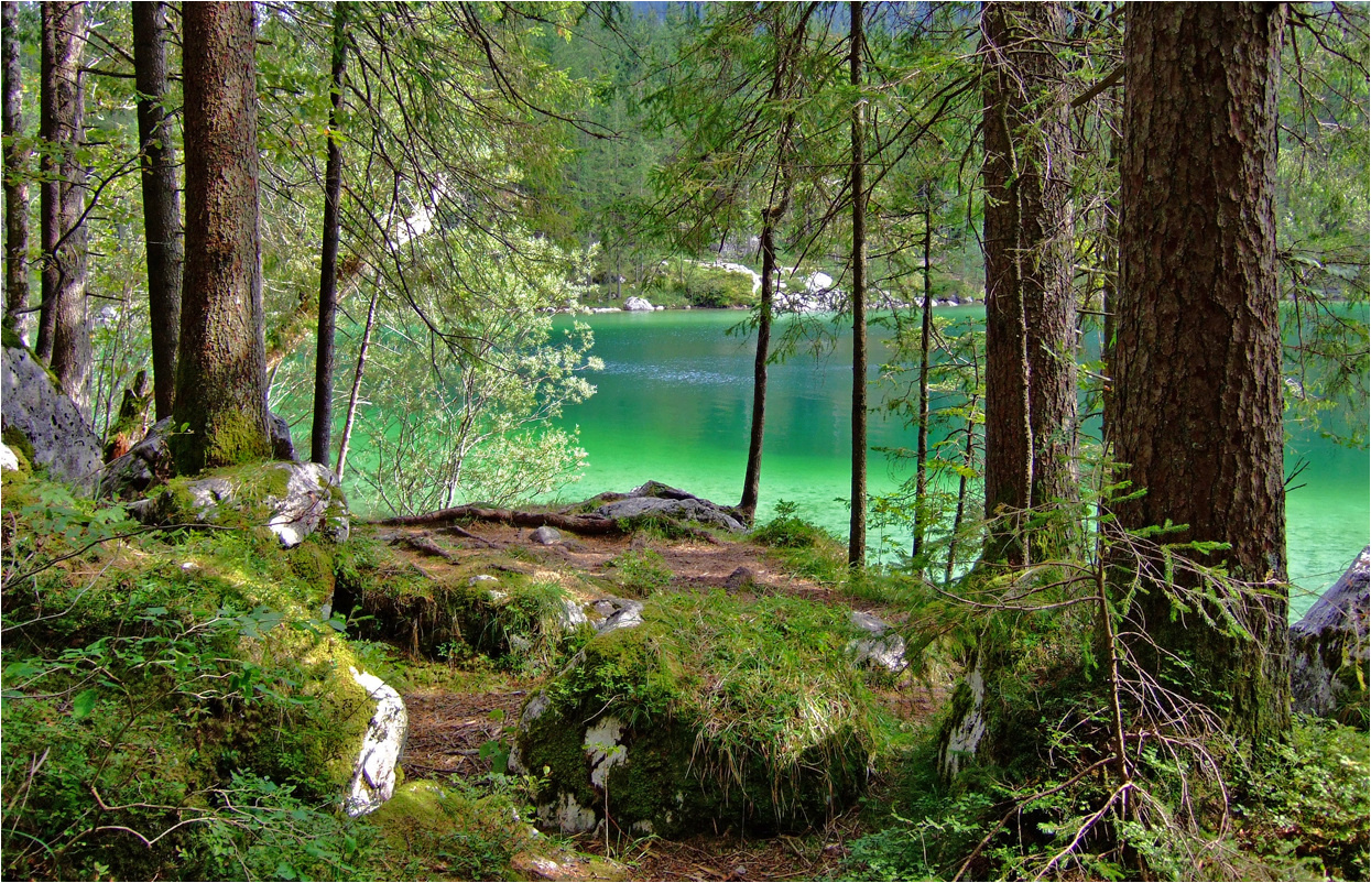 Smaragdgrüne Bergseeidylle...