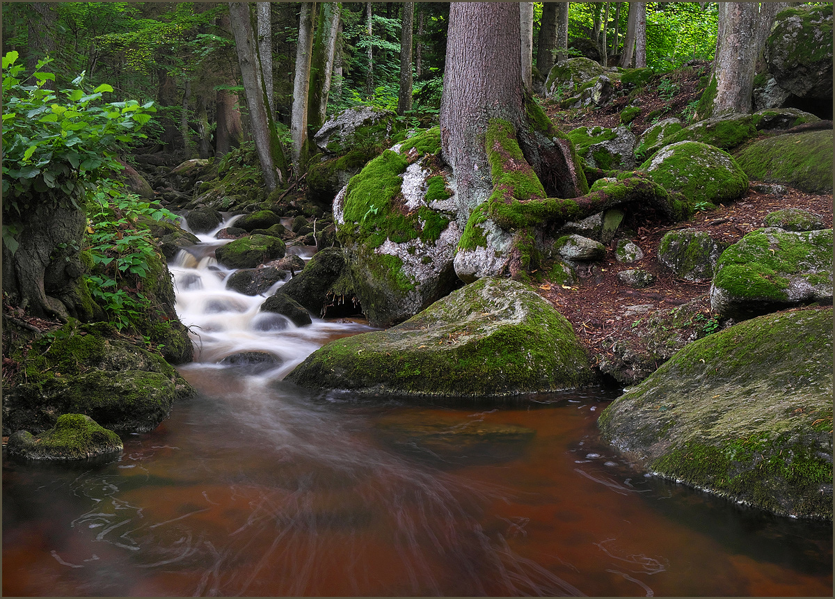 *Ysperklamm_3*