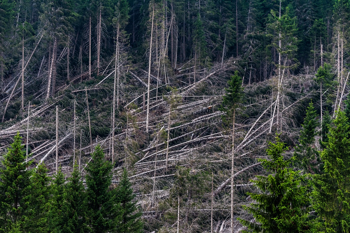 Klimawandel?